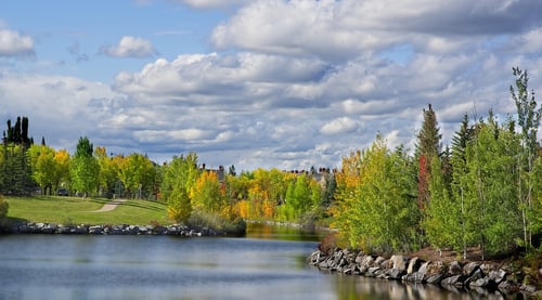 Image of a natural area and river in Calgary